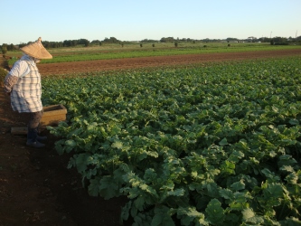 img20130919113358[1]