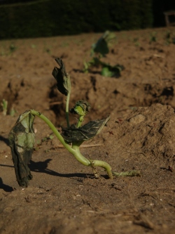 img20130919113625[1]