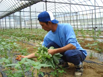 yamazaki-masatoshi-4[1]