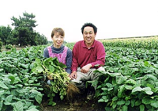 林和重・順子 1