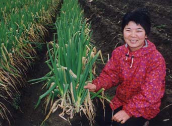 椎名博・文代