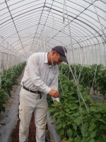 竹内 壯文 ハウス作業