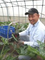 竹内 壯文 ズッキーニ出荷