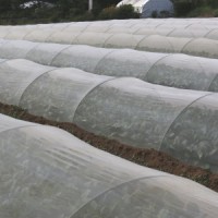 140801 永嶋和則 (1)