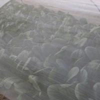 140801 永嶋和則 (2)