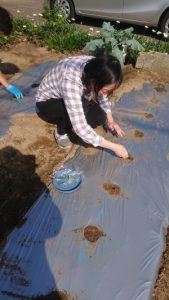 DSCPDC_0002_BURST20181026114254131_COVER