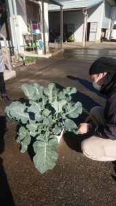 DSCPDC_0001_BURST20181218120809735